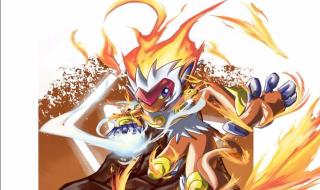 宠物小精灵珍珠钻石